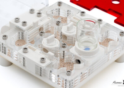 packshot nid fourmis detail galeries