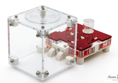 packshot nid fourmis modules acrylique