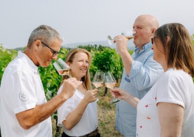 reportage photo domaine viticole degustation vin vignes provence