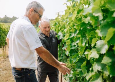 reportage photo domaine viticole travail vigne echange provence