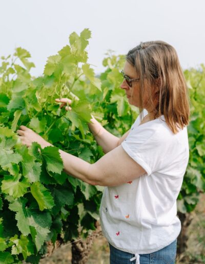 reportage photo domaine viticole travail vigne vigneronne provence