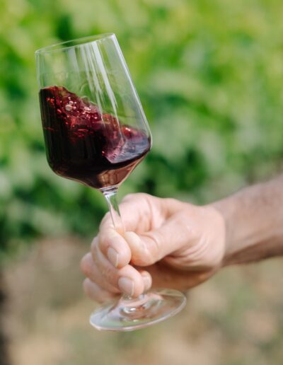 reportage photo domaine viticole verre vin detail provence